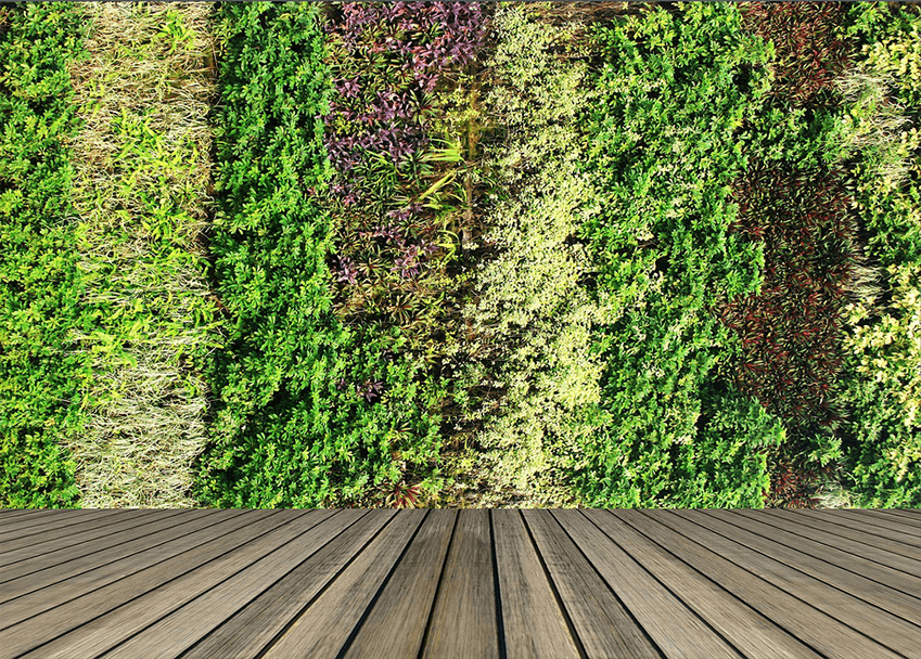 Green Walls and Roofs Online Course | Careerline Courses