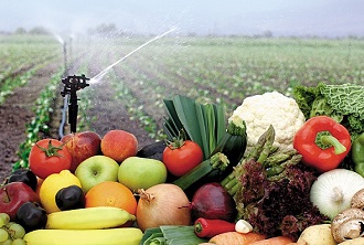 Adv Cert In Organic Food Systems Jpg