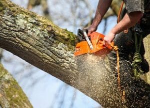 Short Course On Pruning