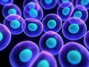 Cell Biology Online Course