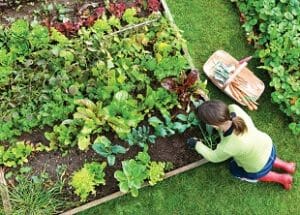 Short Course On Sales Skills For Garden Center Staff