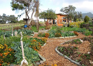 Permaculture Systems Jpg