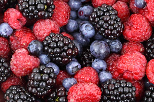 Background Berries Berry Blackberries 87818 Jpeg