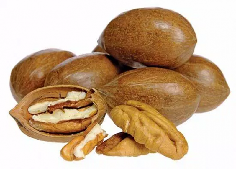 Nut Production Warm Climates Online Course