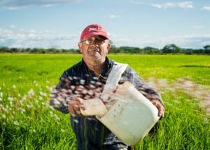 Advanced Certificate In Farm Management Online Course