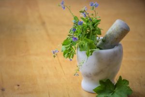 Culinary Herbs Online Course