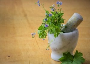Herbs Introductory Online Course