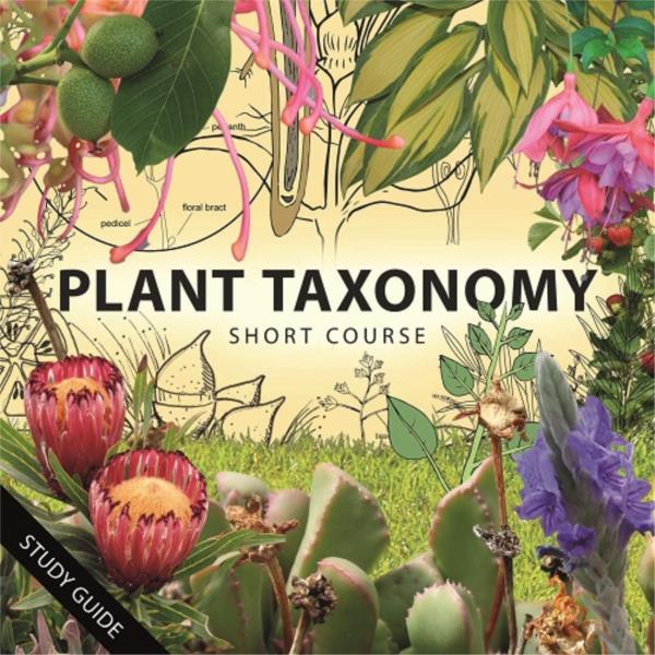 Plant Taxonomy Main 6168 6168 Jpg